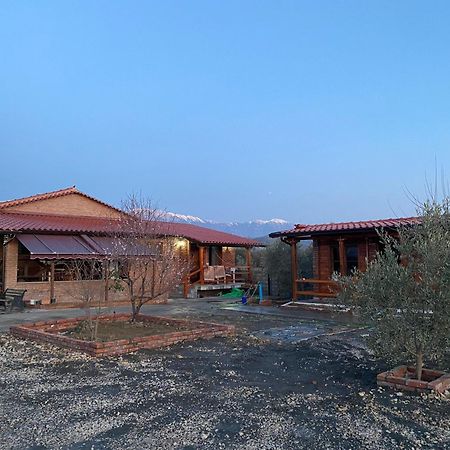 Vila Mario Berat Exterior photo