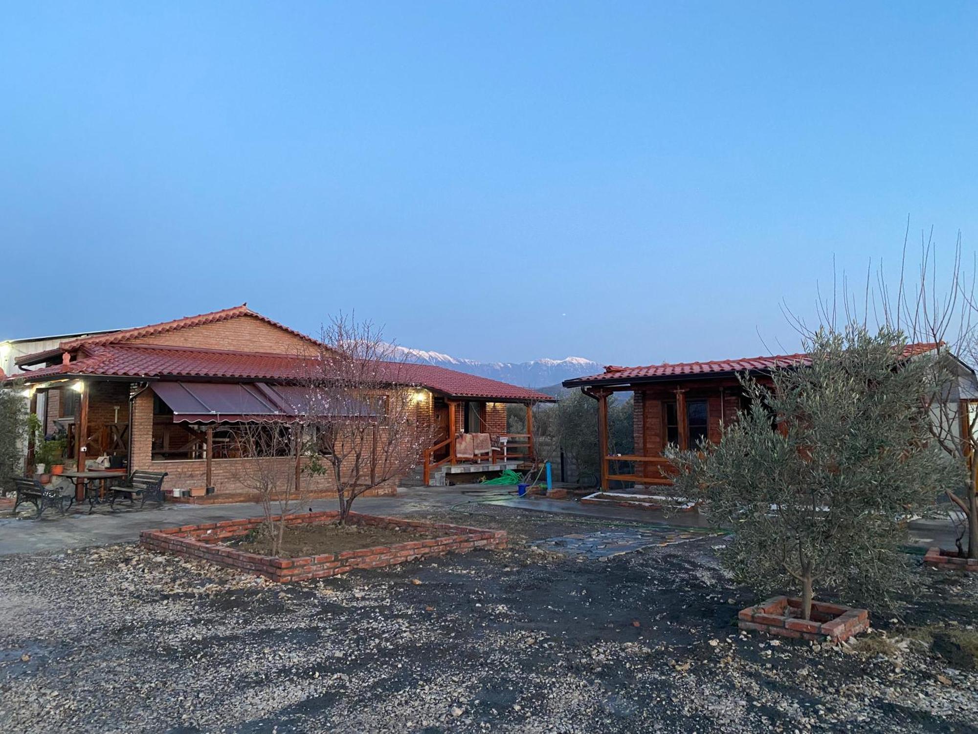 Vila Mario Berat Exterior photo
